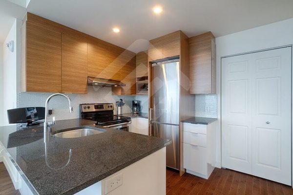 studio apartment downtown kitchen in montreal for rent